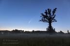 Kometa Neowise i dąb w Żylinach - 16.07.2020